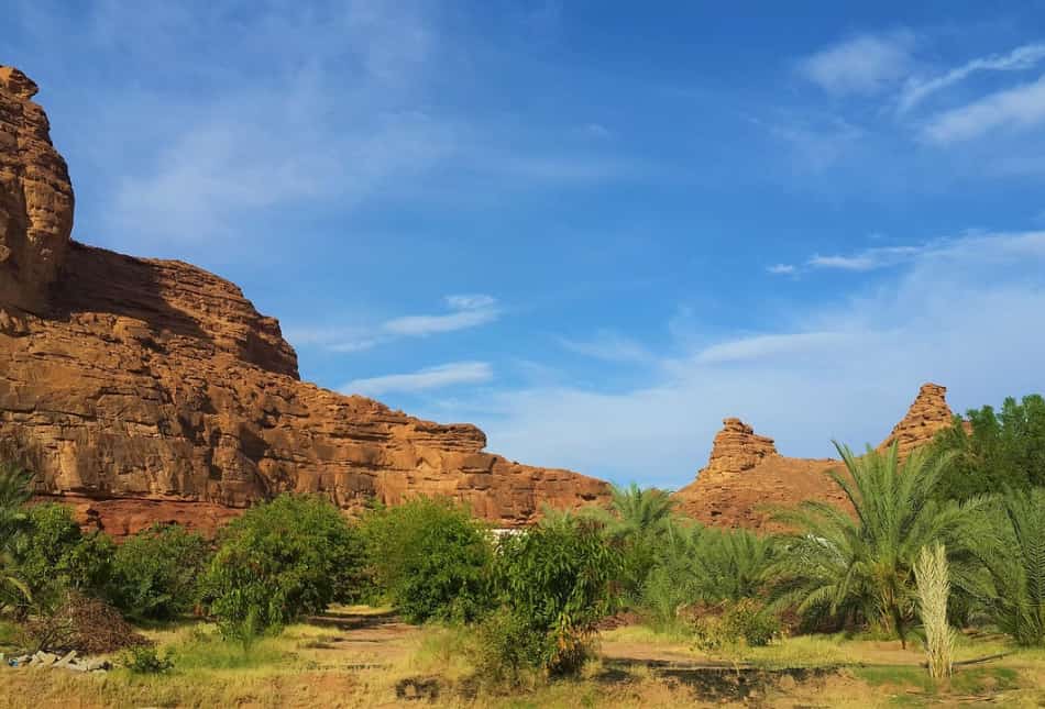 Abbiamo attraversato il Wadi Al Disah, un grande canyon dove scorrono diversi corsi d'acqua