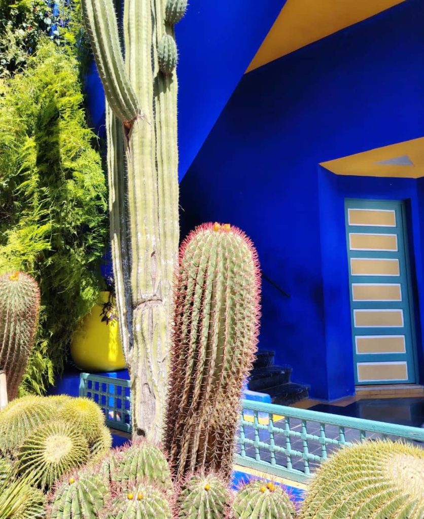 Le Jardin Majorelle si visita solo su prenotazione e ogni mezz’ora dentro i suoi due ettari circa entrano una cinquantina di turisti affamati di luce, di arte e di bello